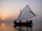 32331391626 d4596d724f o © Gold of Bengal Low-tech Lab